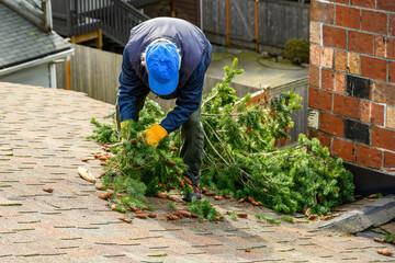 Senior man cleaning fir tree branches and storm debris off a residential rooftop
