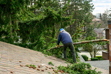 Senior man throwing a large fir tree branch and storm other debris off a residential rooftop
