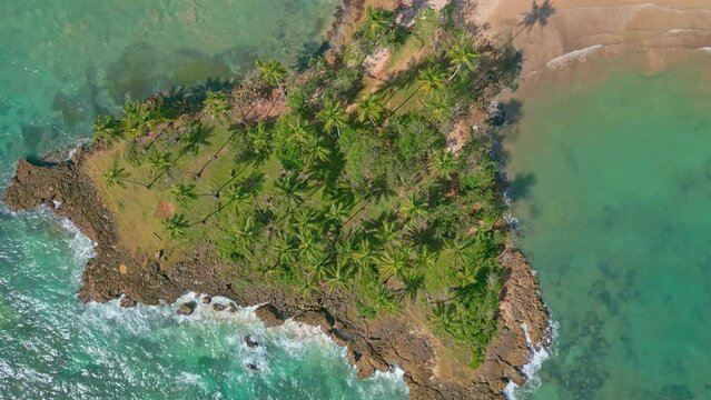 Top Down View Of Palm Trees On The Scenic Coast Of Playa Los Coquitos In Dominican Republic - aerial drone shot