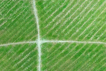 aerial view of a beveled green lawn with crossing of footpaths. natural textured background.