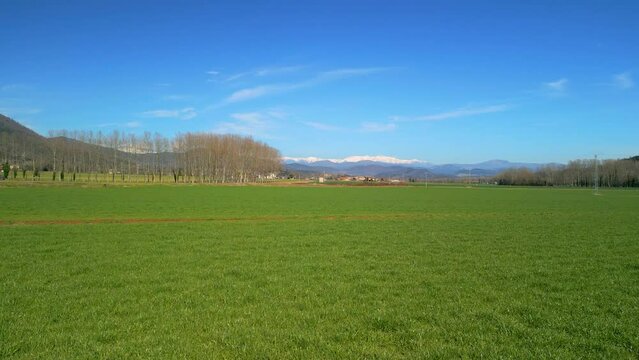 Perfect cultivated green field as background snowy mountains