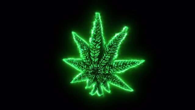 4k Trippy Vj loop background texture rotating Marijuana Leaf glowing green 420 high festival backdrop weed day