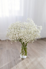 Bouquet of small white flowers in a glass vase in a bright sunny interior. White gypsophila close-up.