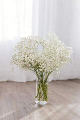 Bouquet of small white flowers in a glass vase in a bright sunny interior. White gypsophila close-up.
