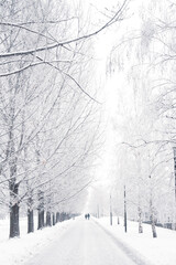 winter road in the city