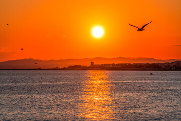 Watching Sun Go Down Beach Reflection Mediterranean Sea Nice France