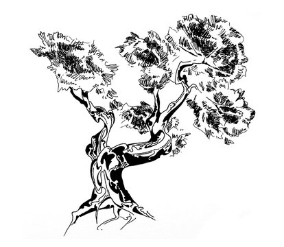 Sketch of an asian tree on a white background. Hand painted ink tree.Nature concept design. 