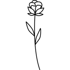 Fototapeta na wymiar Plant Flower Outline Illustration