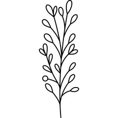 Plant Flower Outline Illustration