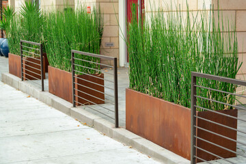 Plants and trees in grow beds and planters or pots on sidewalk in front of business or apartments in urban area