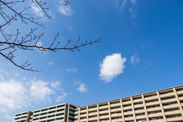 建物の白い外壁と冬の青空