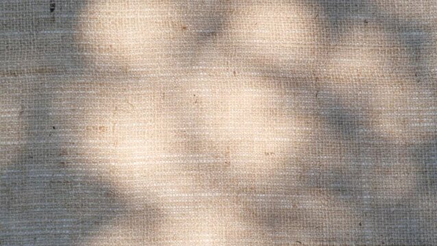 Closeup branch tree leaves silhouette shadow motion on jute texture background