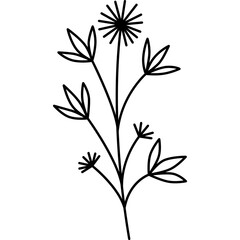 Plant Flower Outline Illustration