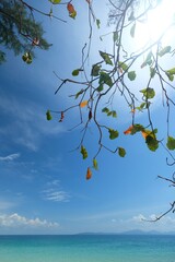 Dong island, Monkey bay,Satun Province, Thailand