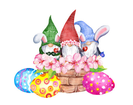 Gnomes family in Easter basket with decorative eggs and pink flowers. Scandinavian dwarf with rabbit, bunny ears. Watercolor vector design for holiday egg hunt