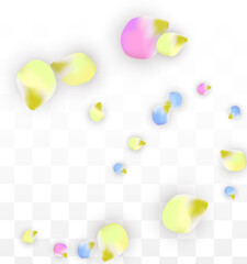 Vector Realistic Colorful Petals Falling on Transparent Background.  Spring Romantic Flowers Illustration. Flying Petals. Sakura Spa Design. Blossom Confetti. Design Elements for Wedding Decoration.