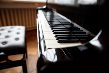 Black and white piano keys. Musical instrument