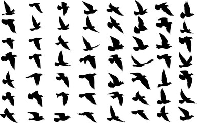 Flying birds silhouettes pattern wallpaper. PNG transparent. isolated bird flying. tattoo design. template for card, package, and wallpaper.