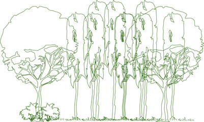 Fototapeta na wymiar Vector sketch of collection of green trees