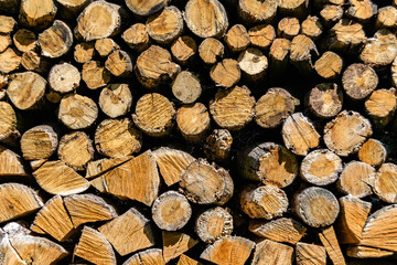 Photography on theme big wall of stacked oak tree logs in cracks