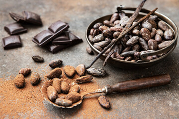 Composition with cocoa powder, beans and chocolate