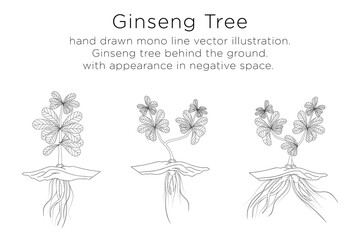 hand drawn monoline vector illustration.
ginseng tree behind the ground.