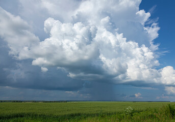 Big white clouds over a green meadow and blue sky.
Panoramic view of a large rain cloud and an agricultural field. 
