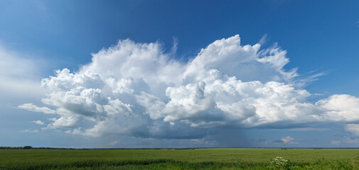 Big white cloud over a summer field that casts a shadow.
A large green field before the rain.