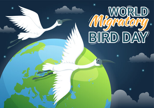 World Migratory Bird Day on May 8 Illustration with Birds Migrations Groups in Flat Cartoon Hand Drawn for Landing Page Templates
