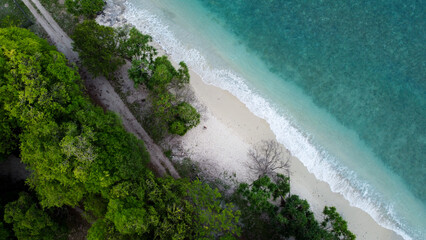 Aerial view of crystal clear turquoise ocean water lined by green forest trees and waves rolling onto white sandy coastline beach on a remote tropical island