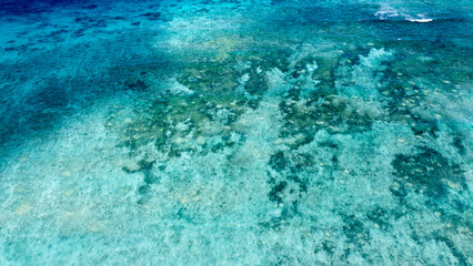 Stunning coral reef marine ecosystem in crystal clear turquoise ocean water in the Coral Triangle of Timor-Leste, Southeast Asia, aerial drone view of reefs