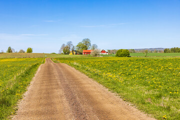 Fototapeta Gravel road to a farm in a beautiful rural landscape obraz