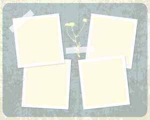 Template for photo collage on vintage background in grunge style. Camomile herbal. Vector illustration