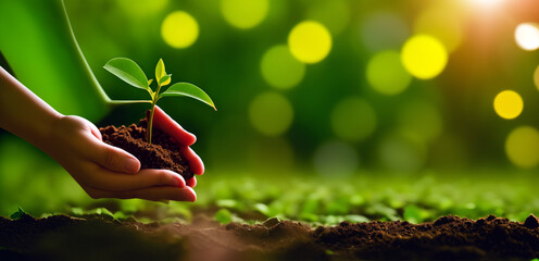 Climate and nature: two hands hold a small plant above ground. The background is dark green. Ideal for text as banner, header or wallpaper. Copy text and blank space.