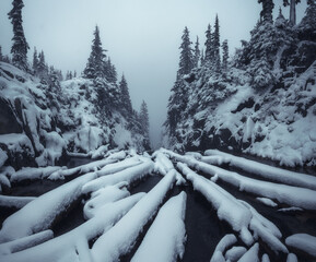 Fallen logs at the edge of a moody misty alpine lake lightly dusted with fresh autumn snow