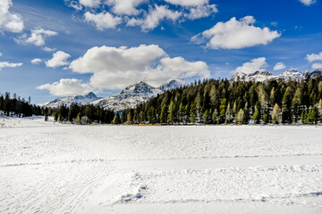 St. Moritz, Stazersee, Bergsee, Stazerwald, Winter, Winterwanderung, Wintersport, Alpen, Piz Julie, Piz Nair, Piz Albana, Oberengadin, Graubünden, Schweiz