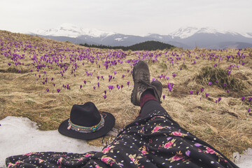 Close up stylish traveler legs on crocus flowers meadow concept photo. First person view photography with mountains. Natural light. High quality picture for wallpaper, travel blog, magazine, article