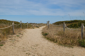 Fototapeta na wymiar Sandy path to the sea with poles and beach grass. Balearic Sea, Spain