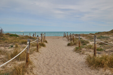 Sandy path to the sea with poles and beach grass. Balearic Sea, Spain