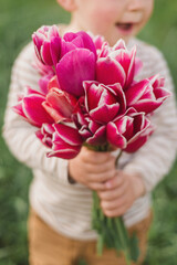 A little boy 2-3 years old holds in his hands a bouquet of pink tulips collected in the garden in spring against the background of green grass. Flowers for mom