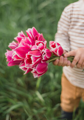 Unrecognizable little boy 2-3 years old holds in his hands a bouquet of pink tulips collected in the garden in spring against the background of green grass. Flowers for mom