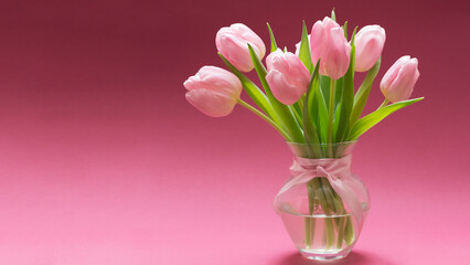 Blossoming light pink tulips, bright springtime bouquet floral card, selective focus  009
