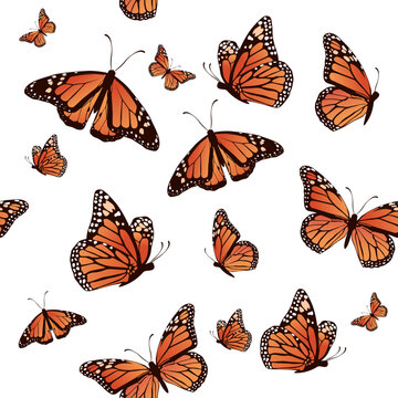 Printrealistic seamless pattern butterfly vector illustration design