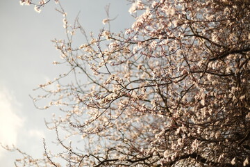 Printemps de Paris, 2023