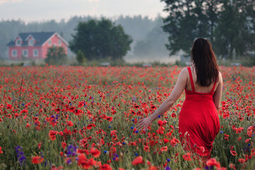 Brunette woman in a red dress walking in poppy field with red countryside house at background