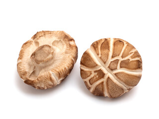 椎茸　生どんこ