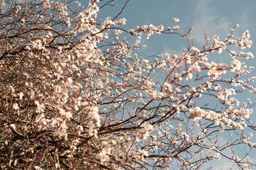 Printemps de Paris 2023