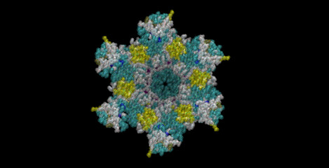 Gram-negative bacteria Actinobacillus actinomycetemcomitans, three-component drug efflux pump 3D protein molecule 4K