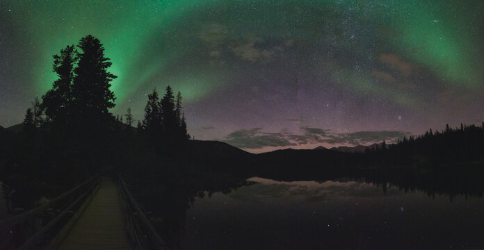 Majestic view of aurora borealis in star field over trees in Pyramid L