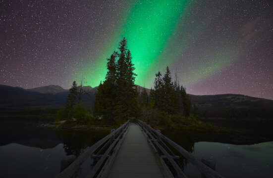 Majestic view of aurora borealis in star field over trees in Pyramid L